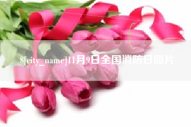 鄄城11月9日全国消防日图片