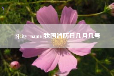 鄄城我国消防日几月几号