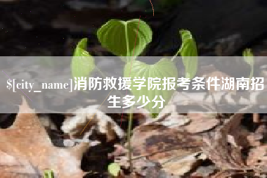 鄄城消防救援学院报考条件湖南招生多少分
