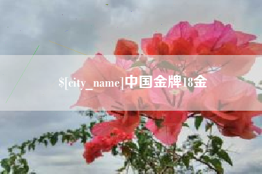鄄城中国金牌18金
