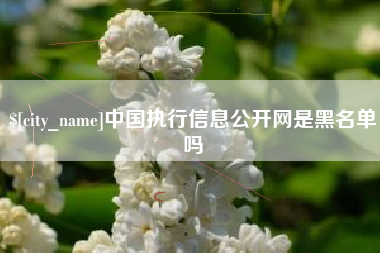 鄄城中国执行信息公开网是黑名单吗
