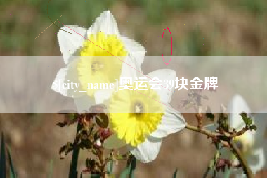 鄄城奥运会39块金牌