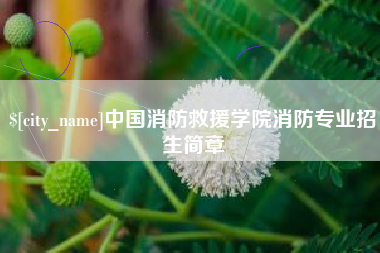 鄄城中国消防救援学院消防专业招生简章