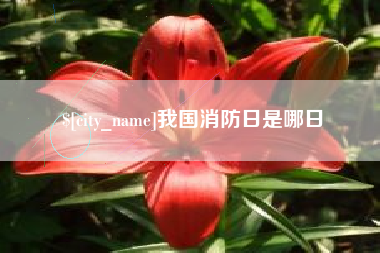 鄄城我国消防日是哪日