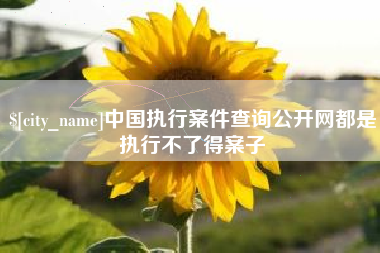 鄄城中国执行案件查询公开网都是执行不了得案子