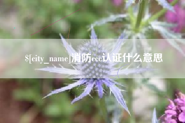 鄄城消防ccc认证什么意思