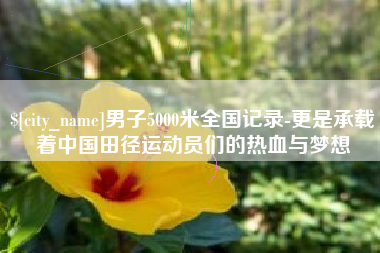 鄄城男子5000米全国记录-更是承载着中国田径运动员们的热血与梦想