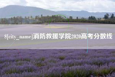 鄄城消防救援学院2020高考分数线
