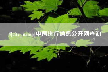 鄄城中国执行信息公开网查询