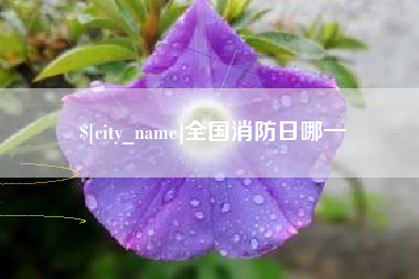 鄄城全国消防日哪一