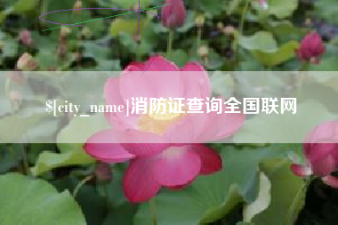 鄄城消防证查询全国联网