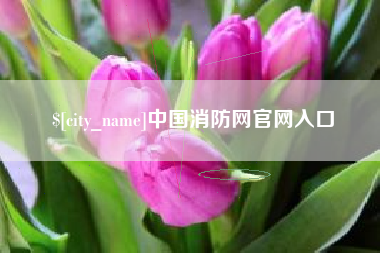鄄城中国消防网官网入口