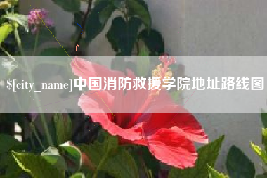 鄄城中国消防救援学院地址路线图
