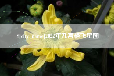 鄄城2022年九宫格飞星图