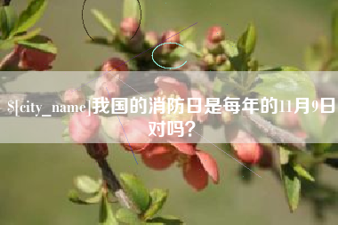 鄄城我国的消防日是每年的11月9日对吗？