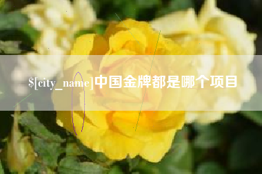 鄄城中国金牌都是哪个项目