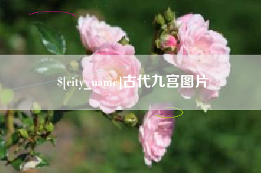 鄄城古代九宫图片