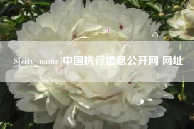鄄城中国执行信息公开网 网址