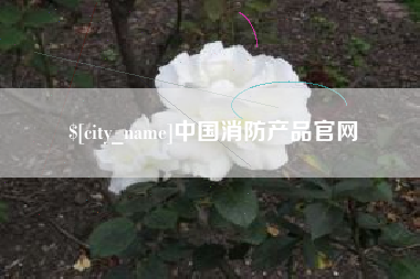 鄄城中国消防产品官网