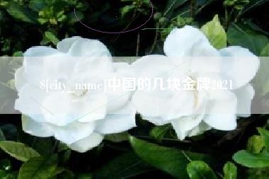 鄄城中国的几块金牌2021