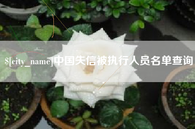 鄄城中国失信被执行人员名单查询