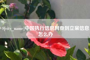 鄄城中国执行信息网查到立案信息怎么办