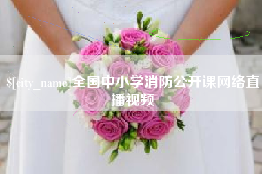 鄄城全国中小学消防公开课网络直播视频