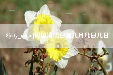 鄄城我国消防日是几月几日几日