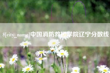鄄城中国消防救援学院辽宁分数线