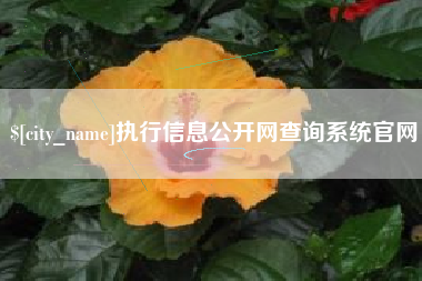 鄄城执行信息公开网查询系统官网