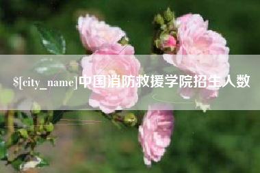 鄄城中国消防救援学院招生人数
