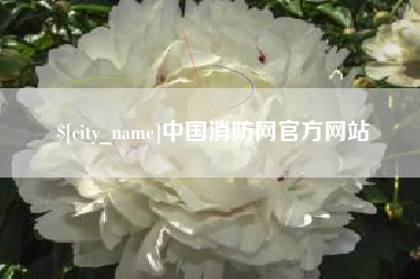 鄄城中国消防网官方网站