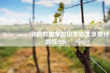 鄄城消防救援学院山东招生录取分数线2020