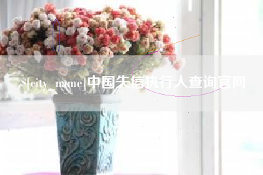 鄄城中国失信执行人查询官网
