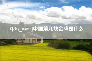 鄄城中国第九块金牌是什么