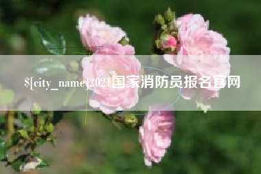 鄄城2021国家消防员报名官网