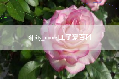 鄄城王子豪百科
