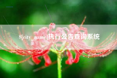 鄄城执行公告查询系统