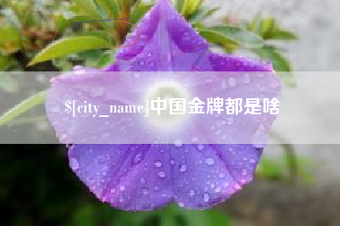 鄄城中国金牌都是啥