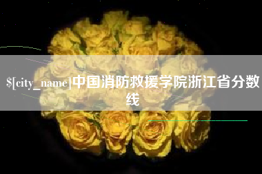 鄄城中国消防救援学院浙江省分数线