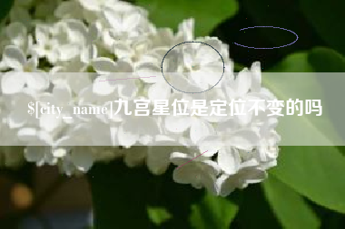 鄄城九宫星位是定位不变的吗