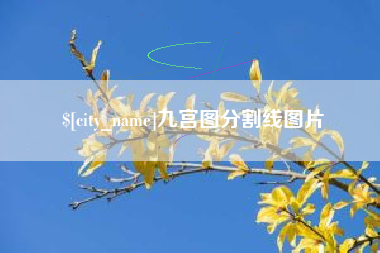 鄄城九宫图分割线图片