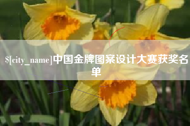 鄄城中国金牌图案设计大赛获奖名单