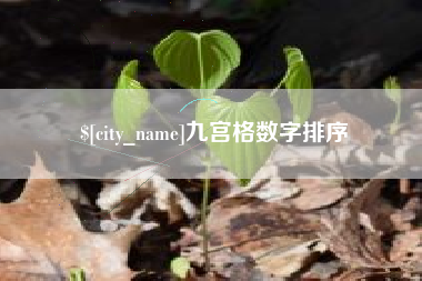 鄄城九宫格数字排序