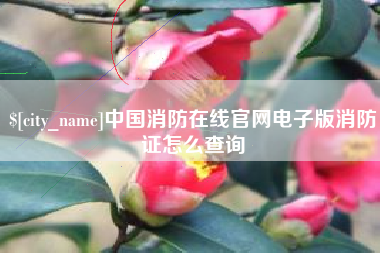 鄄城中国消防在线官网电子版消防证怎么查询