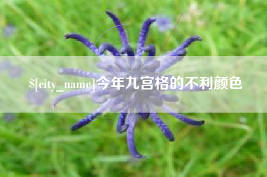 鄄城今年九宫格的不利颜色