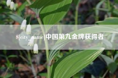 鄄城中国第九金牌获得者