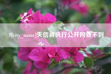鄄城失信被执行公开网查不到