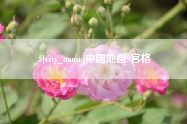 鄄城中国地图9宫格