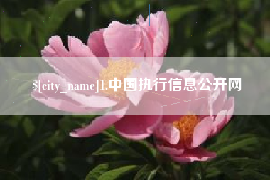 鄄城1.中国执行信息公开网